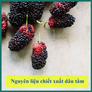 CHIẾT XUẤT DÂU TẰM, Cung cấp nguyên liệu mỹ phẩm, chiết xuất rễ dâu tằm TPHCM