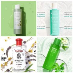 Gia Công Toner Cây Phỉ, Gia Công Mỹ Phẩm, Gia Công Toner