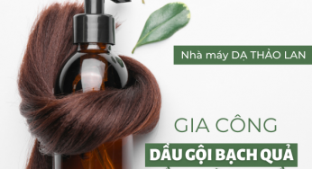 Gia công dầu gội bạch quả kiềm nhờn da đầu: Giải pháp toàn diện cho làn da đầu không dầu không ngứa| DẠ THẢO LAN