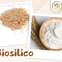 Biosilico - Silica từ vỏ trấu: Bí quyết làm đẹp tự nhiên