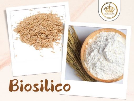 Biosilico - Silica từ vỏ trấu: Bí quyết làm đẹp tự nhiên