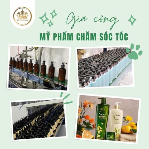 Gia công mỹ phẩm chăm sóc tóc