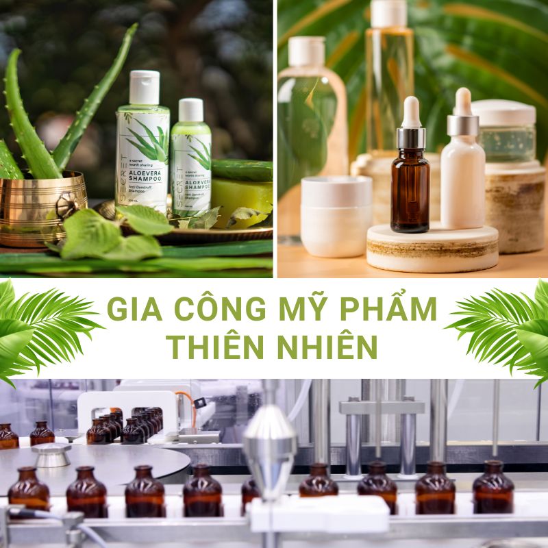 Gia công mỹ phẩm thiên nhiên: Công thức độc quyền, chất lượng cao